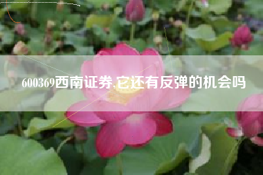 600369西南证券,它还有反弹的机会吗