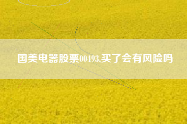 国美电器股票00493,买了会有风险吗