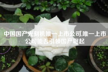 中国国产光刻机唯一上市公司,唯一上市公司能否引领国产崛起