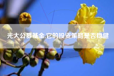 光大公募基金,它的投资策略是否稳健