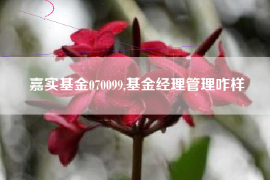 嘉实基金070099,基金经理管理咋样