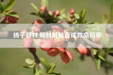 扬子新材,新材料能否成救命稻草