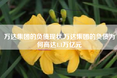 万达集团的负债现状,万达集团的负债为何高达1.1万亿元