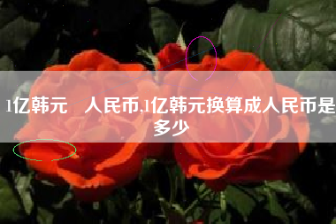 1亿韩元   人民币,1亿韩元换算成人民币是多少