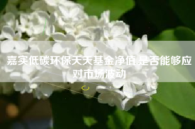 嘉实低碳环保天天基金净值,是否能够应对市场波动