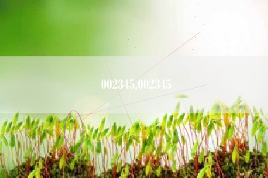 002345,002345