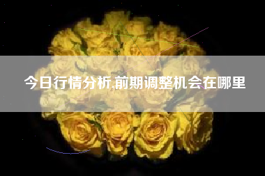 今日行情分析,前期调整机会在哪里