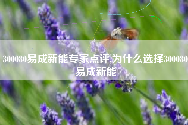 300080易成新能专家点评,为什么选择300080易成新能