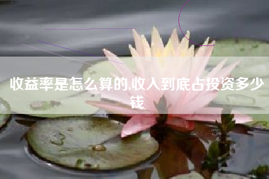 收益率是怎么算的,收入到底占投资多少钱