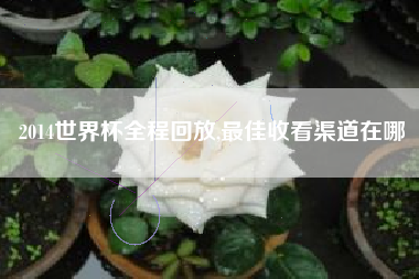 2014世界杯全程回放,最佳收看渠道在哪