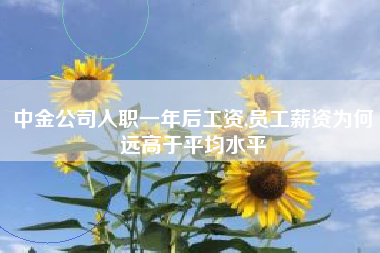 中金公司入职一年后工资,员工薪资为何远高于平均水平