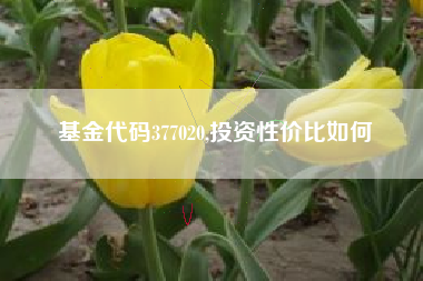 基金代码377020,投资性价比如何