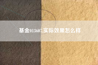 基金013607,实际效果怎么样