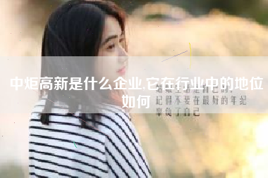 中炬高新是什么企业,它在行业中的地位如何