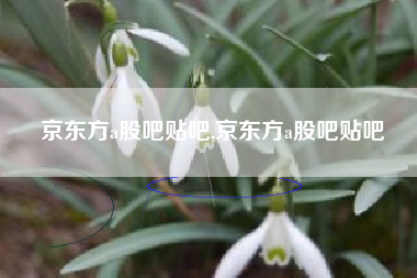 京东方a股吧贴吧,京东方a股吧贴吧