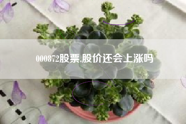 000872股票,股价还会上涨吗