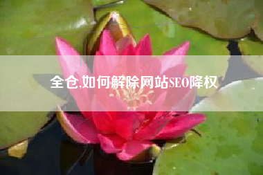 全仓,如何解除网站SEO降权