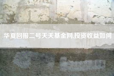 华夏回报二号天天基金网,投资收益如何
