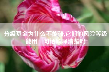 分级基金为什么不能碰,它们的风险等级能用一句话解释清楚吗