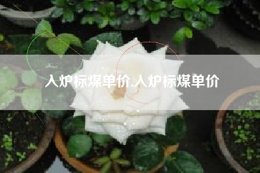 入炉标煤单价,入炉标煤单价
