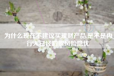 为什么现在不建议买理财产品,是不是内行人已经洞察风险隐忧
