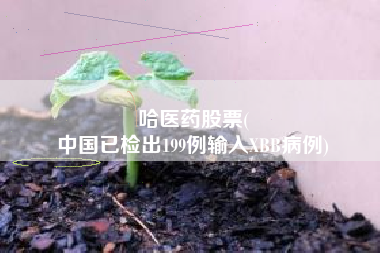 哈医药股票(
中国已检出199例输入XBB病例)