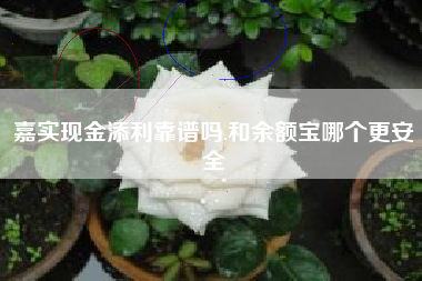 嘉实现金添利靠谱吗,和余额宝哪个更安全