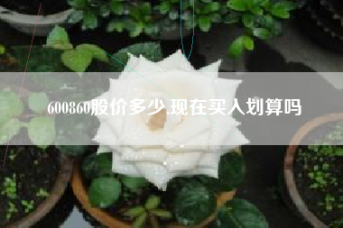 600860股价多少,现在买入划算吗