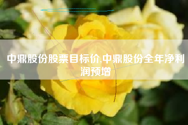 中鼎股份股票目标价,中鼎股份全年净利润预增