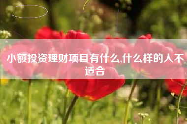 小额投资理财项目有什么,什么样的人不适合
