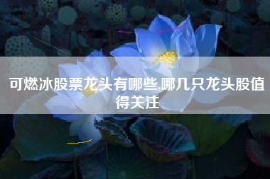 可燃冰股票龙头有哪些,哪几只龙头股值得关注