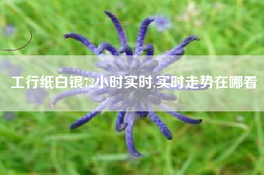 工行纸白银72小时实时,实时走势在哪看