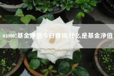 040007基金净值今日查询,什么是基金净值