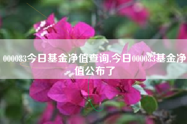 000083今日基金净值查询,今日000083基金净值公布了