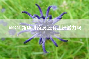 000756 新华制药股,还有上涨潜力吗
