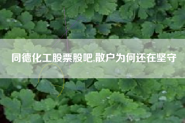 同德化工股票股吧,散户为何还在坚守