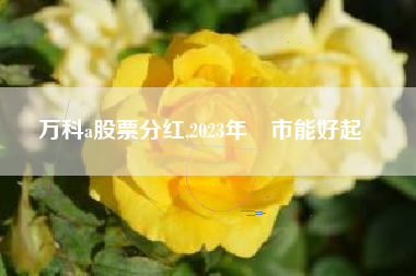 万科a股票分红,2023年樓市能好起來嗎