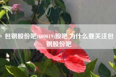 包钢股份吧(600019)股吧,为什么要关注包钢股份吧