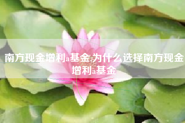 南方现金增利a基金,为什么选择南方现金增利a基金