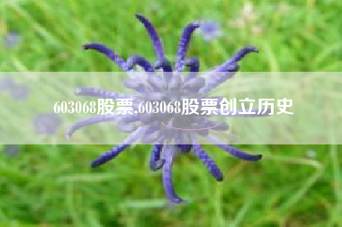 603068股票,603068股票创立历史