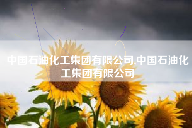 中国石油化工集团有限公司,中国石油化工集团有限公司