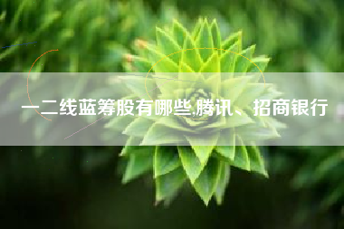 一二线蓝筹股有哪些,腾讯、招商银行