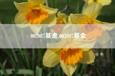 002087基金,002087基金