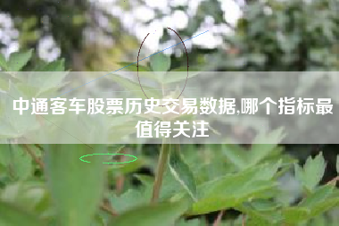 中通客车股票历史交易数据,哪个指标最值得关注