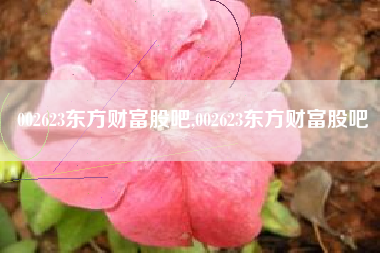 002623东方财富股吧,002623东方财富股吧
