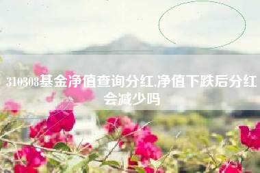 310308基金净值查询分红,净值下跌后分红会减少吗