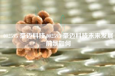 002595 豪迈科技,002595 豪迈科技未来发展前景如何