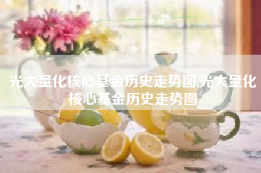 光大量化核心基金历史走势图,光大量化核心基金历史走势图
