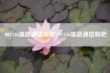002446盛路通信股吧,002446盛路通信股吧
