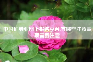 中国证券业网上报名平台,有哪些注意事项需要注意